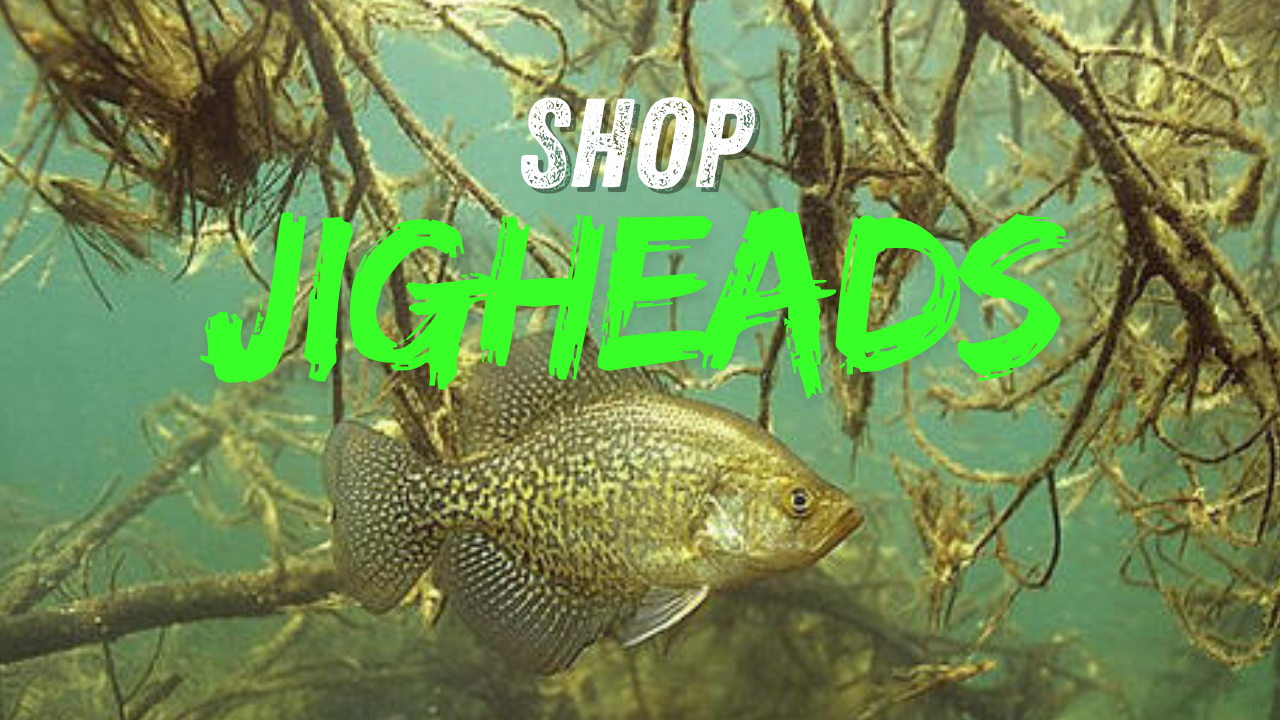 SHOP JIGHEADS