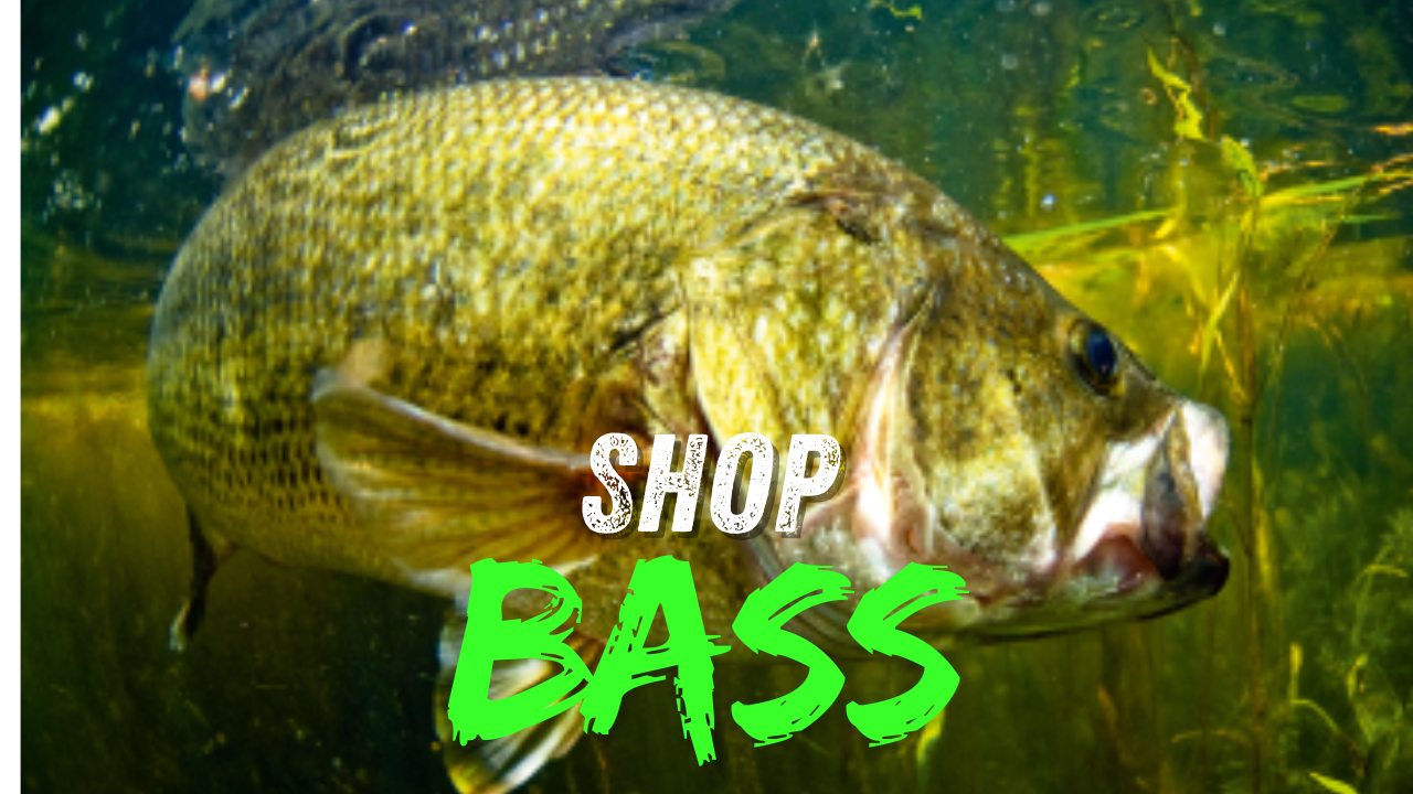 Custom Swimbaits, Worms & More