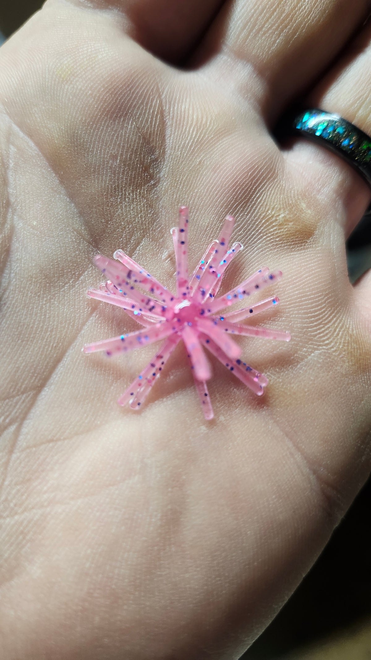 Lil' Prick 1.2 Urchin *10 In A Box*