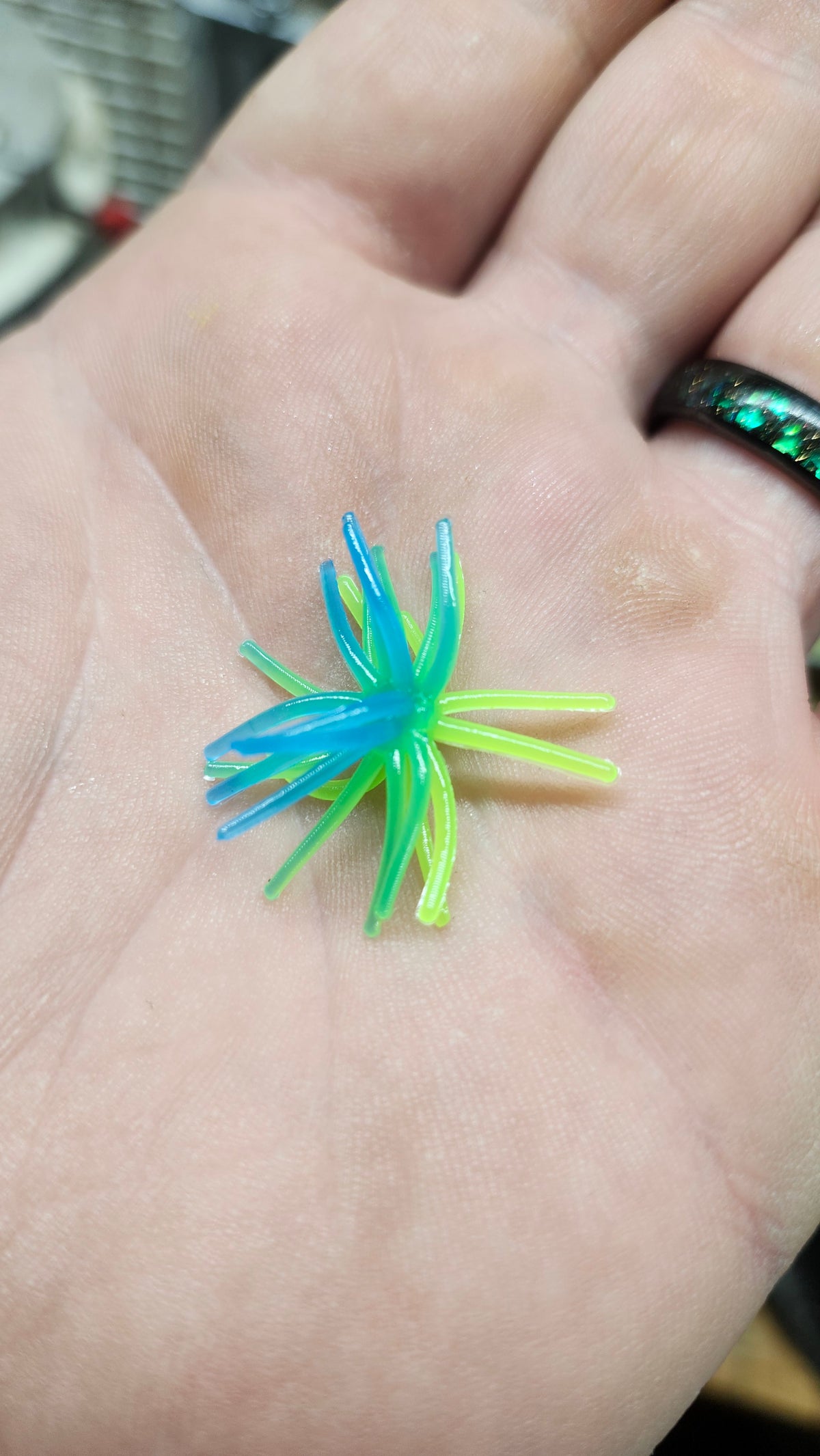 Lil' Prick 1.2 Urchin *10 In A Box*