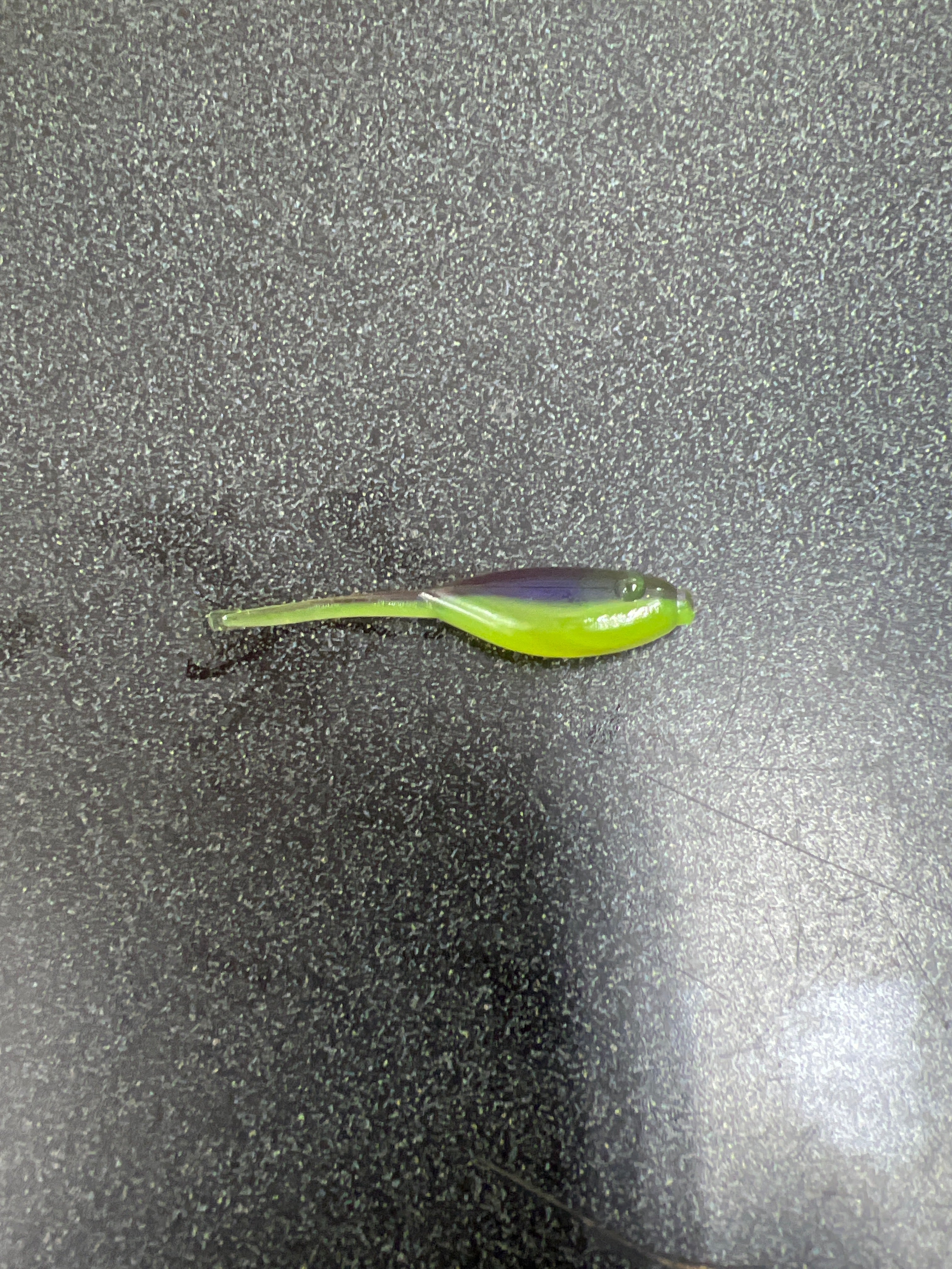 2 Inch Big Minnow Crappie Bait 20 Pack