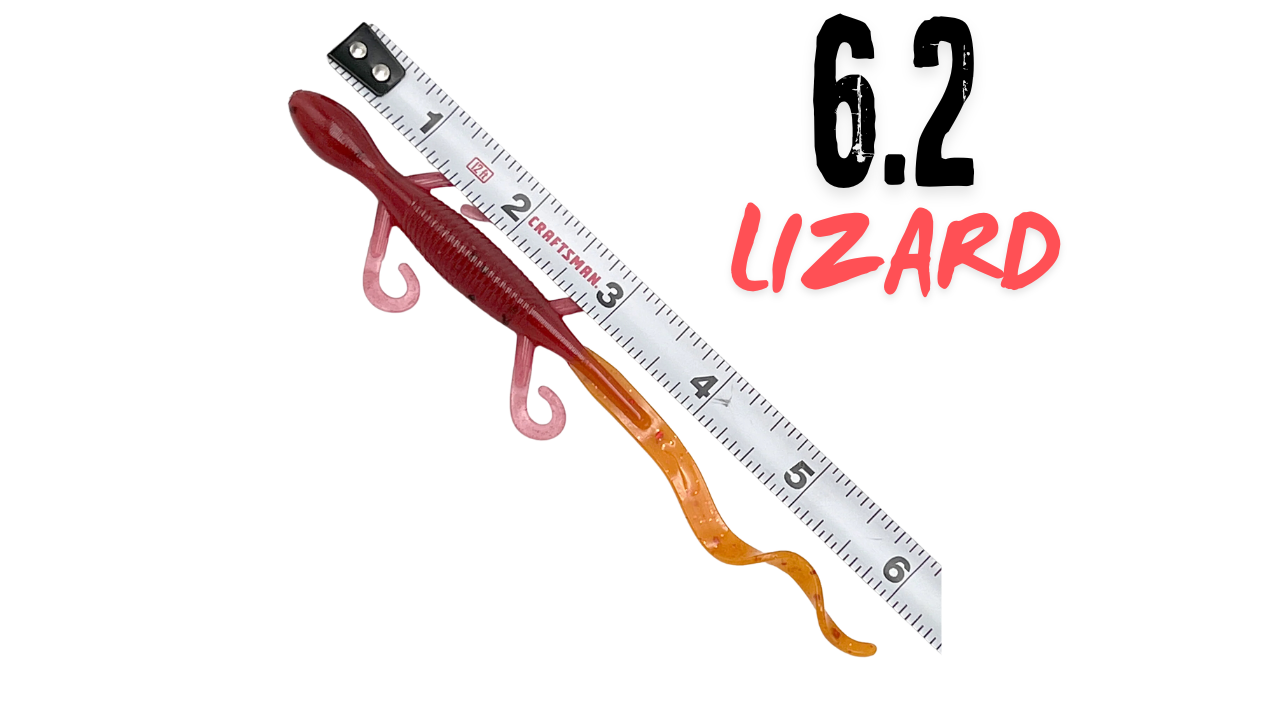 6.2 Liz Zard