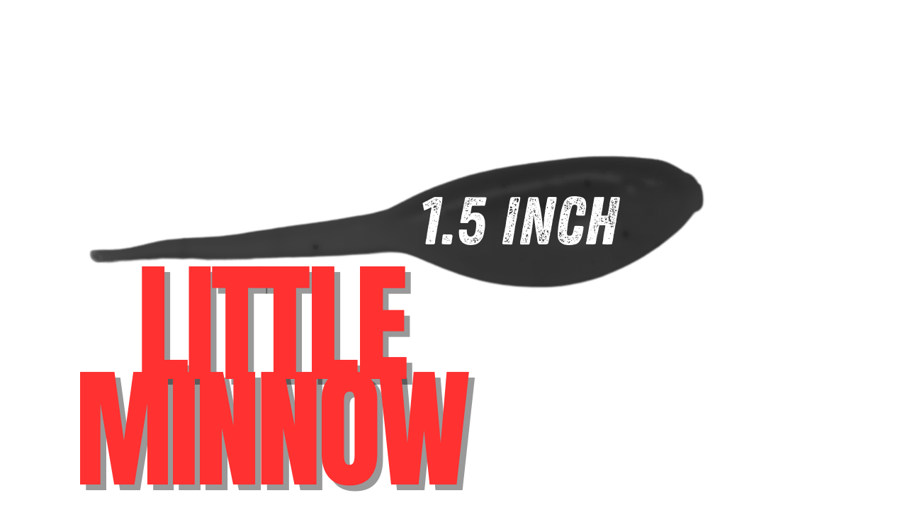 Little Minnow 1.5 Inch