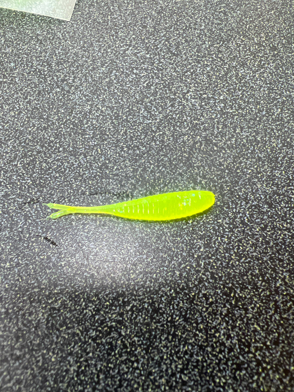 1.5 Gulp Minnow