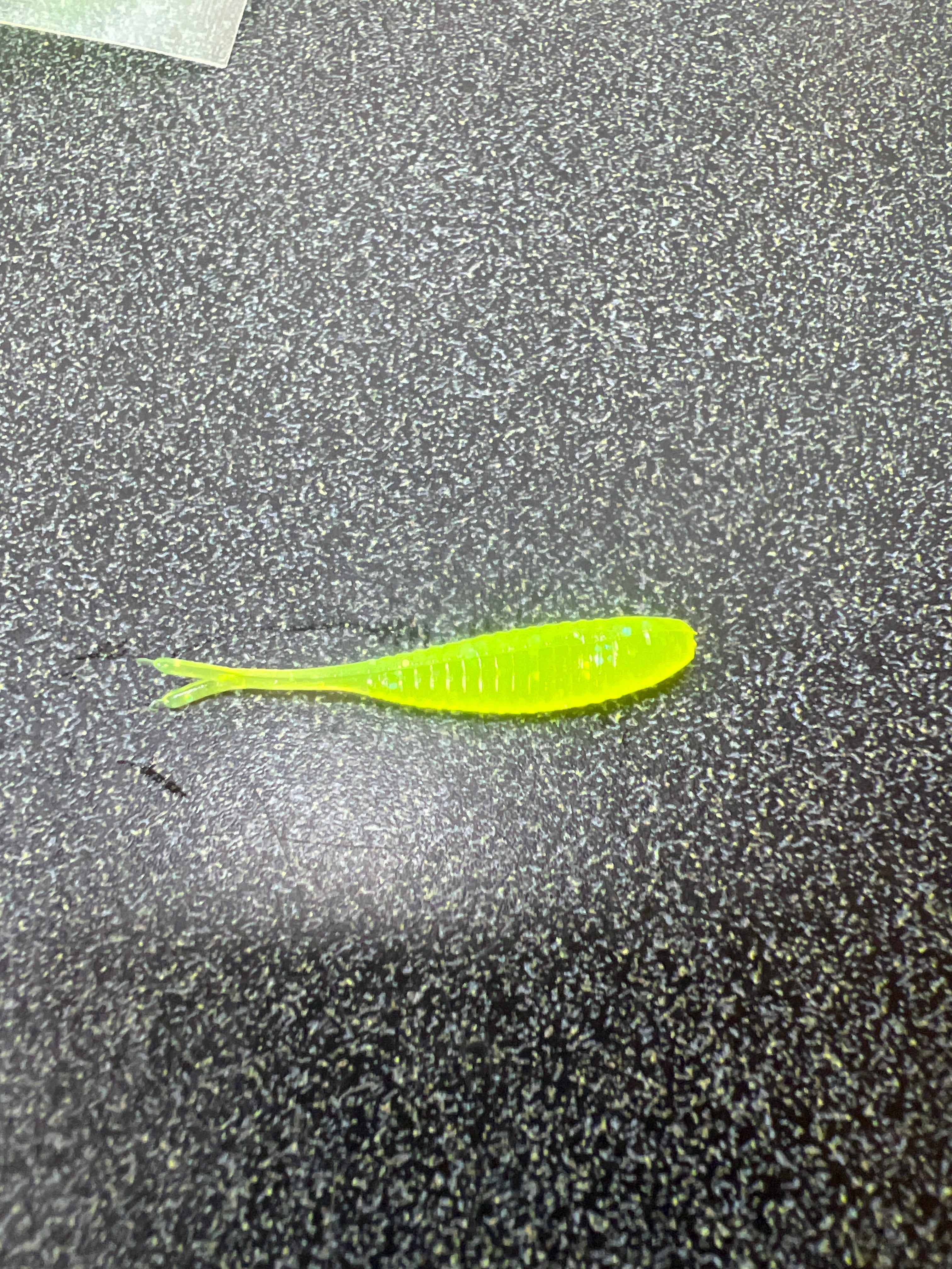 1.5 Gulp Minnow