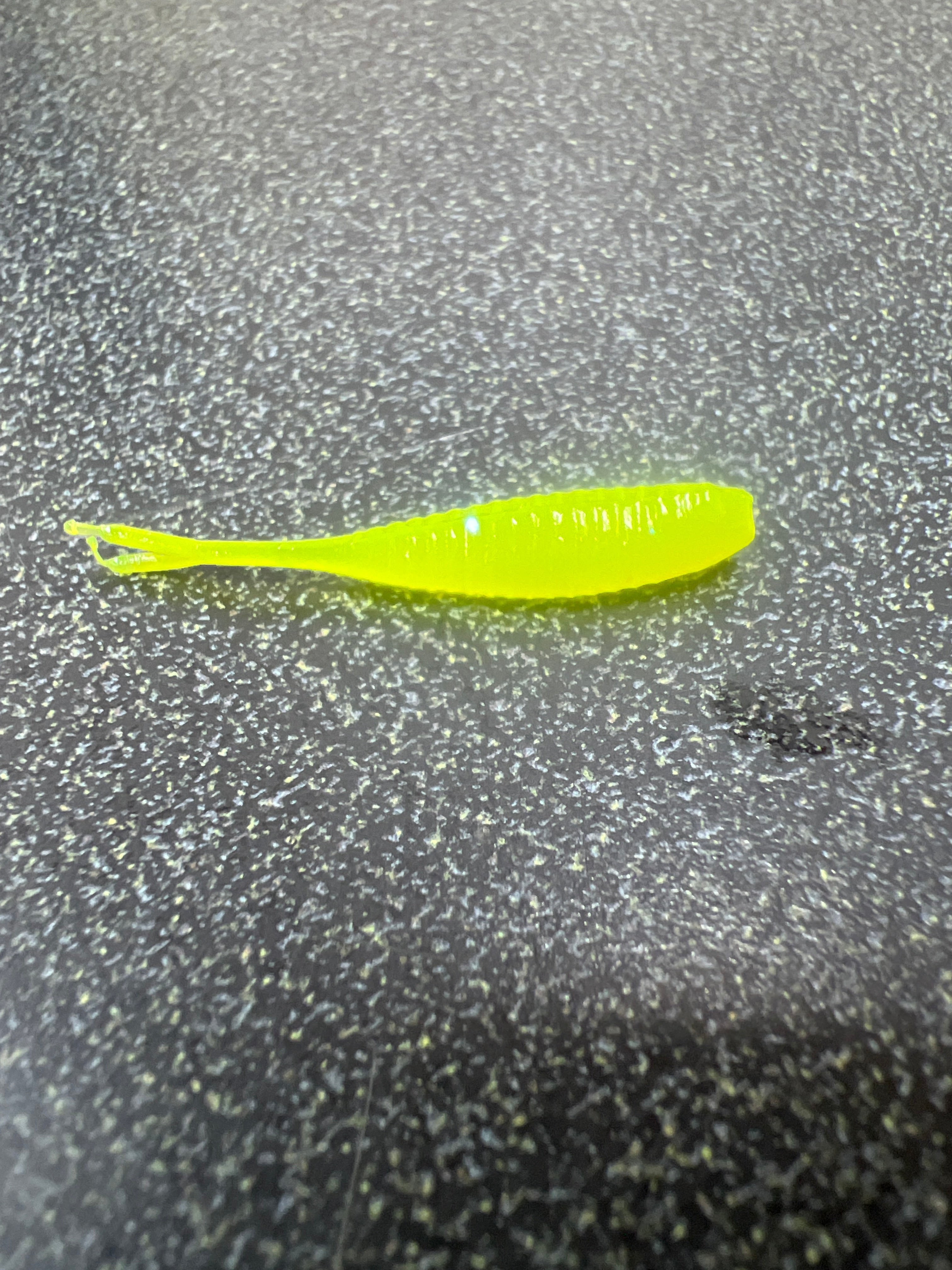 1.5 Gulp Minnow