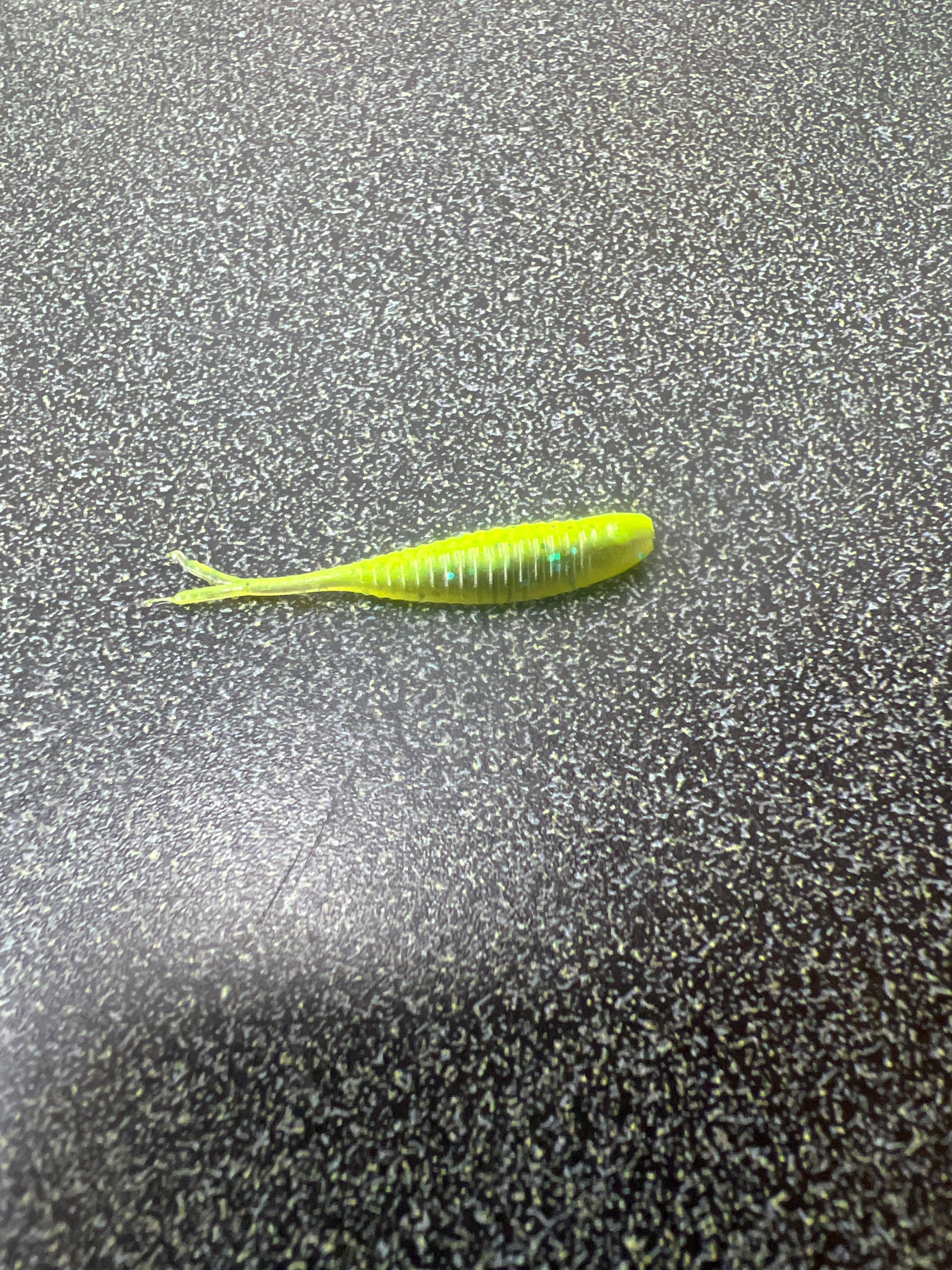 1.5 Gulp Minnow