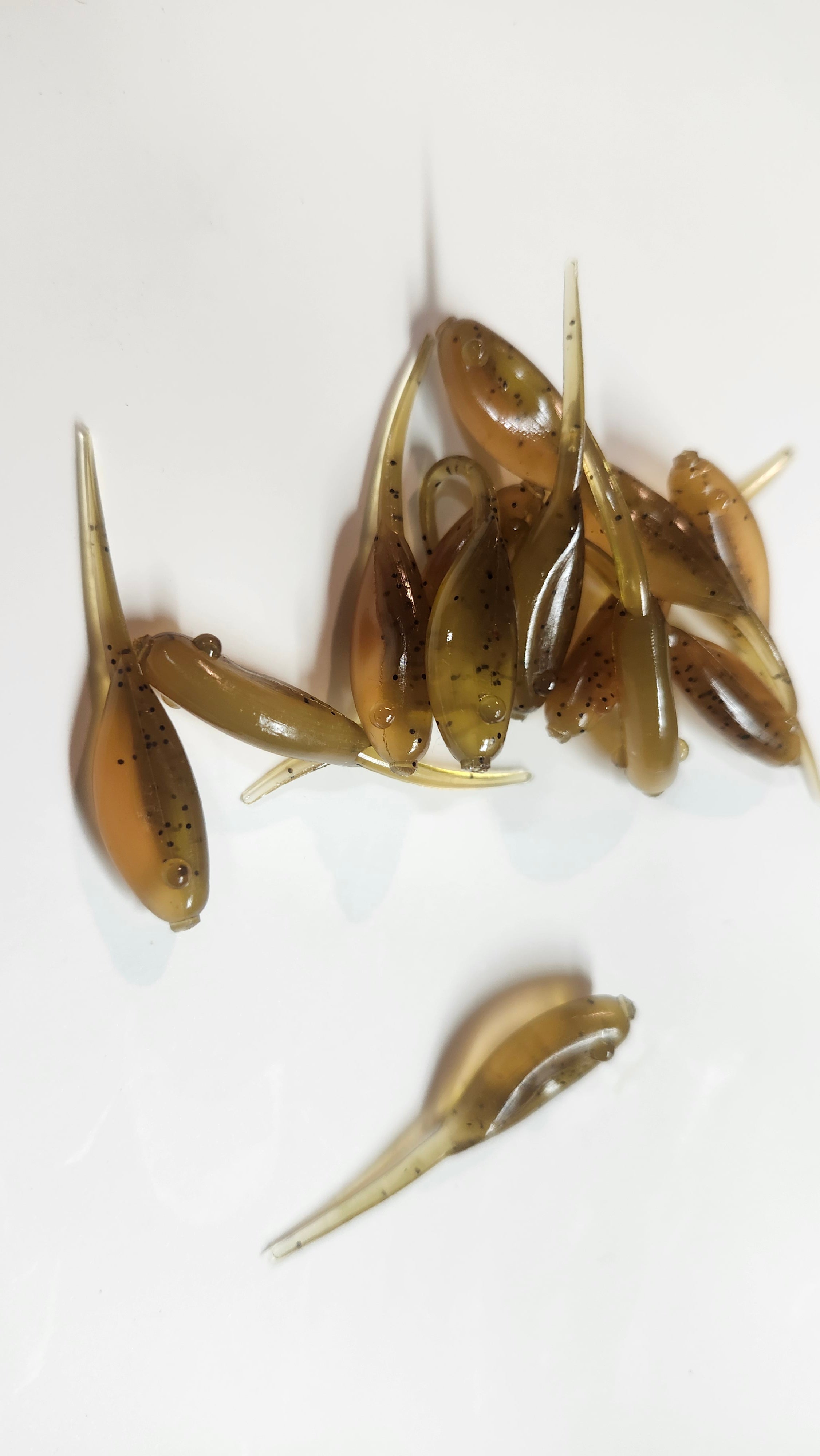 Little Minnow 1.5 Inch