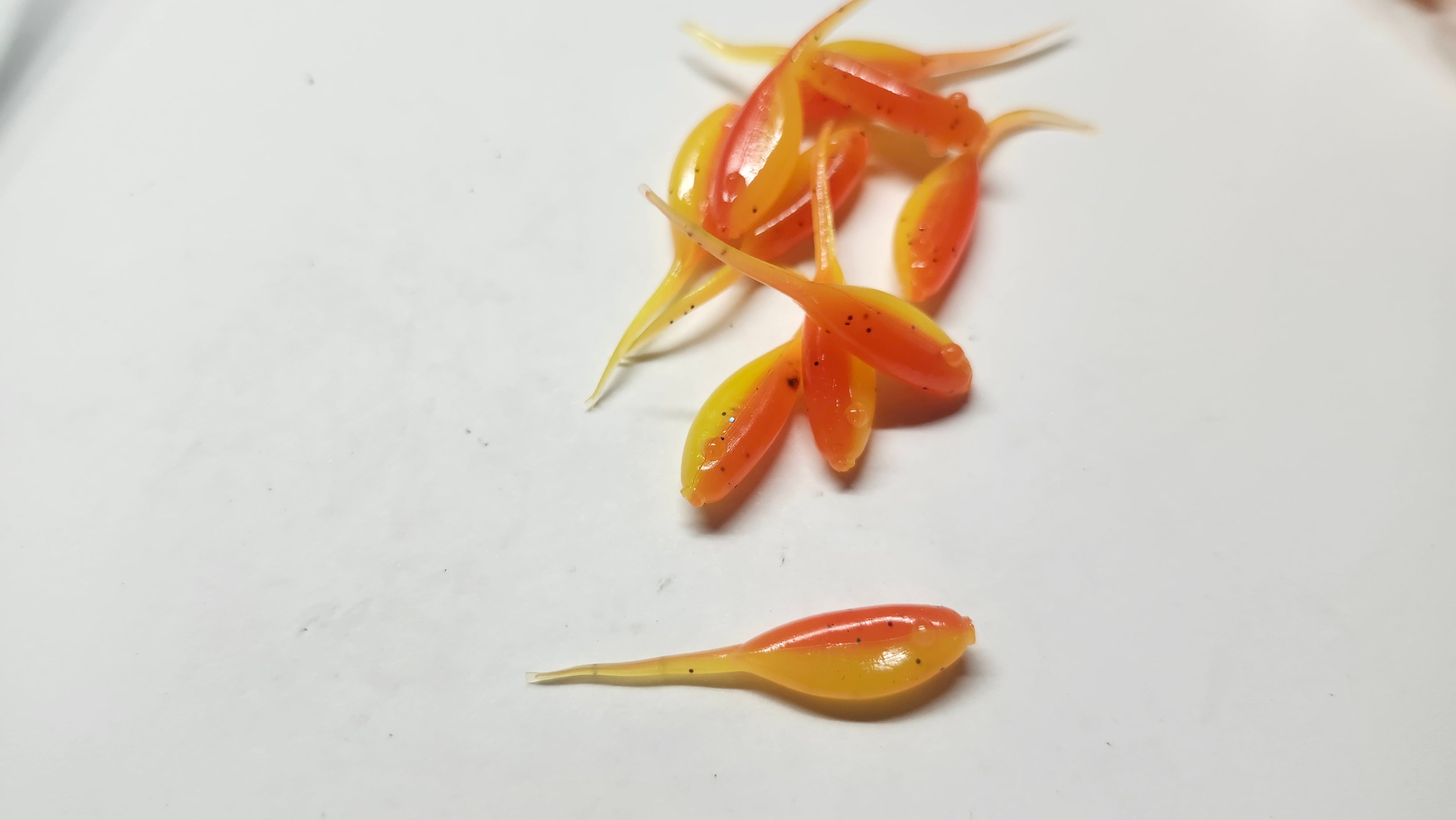 Little Minnow 1.5 Inch