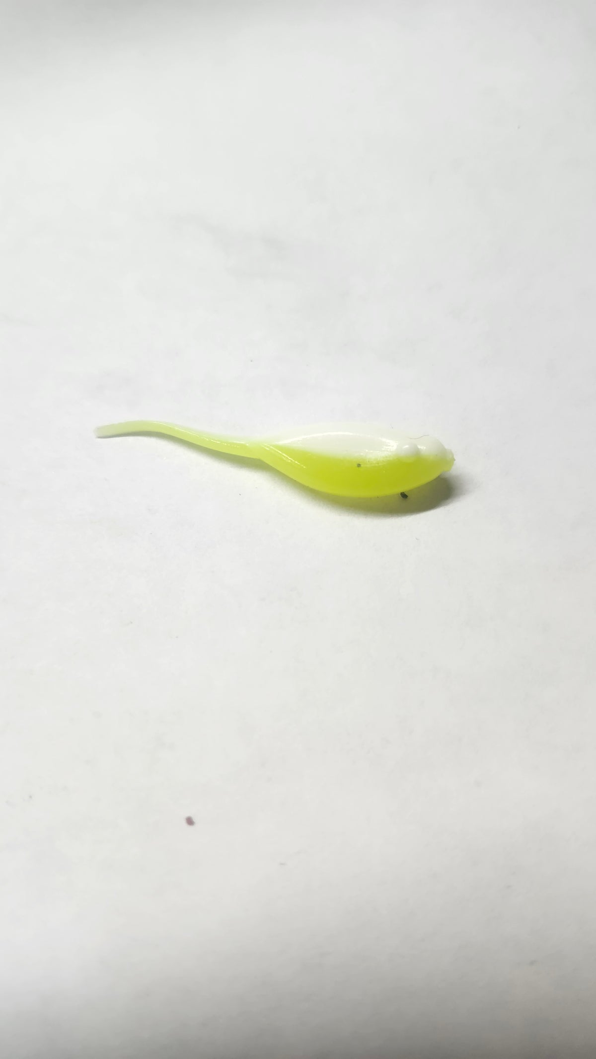Little Minnow 1.5 Inch