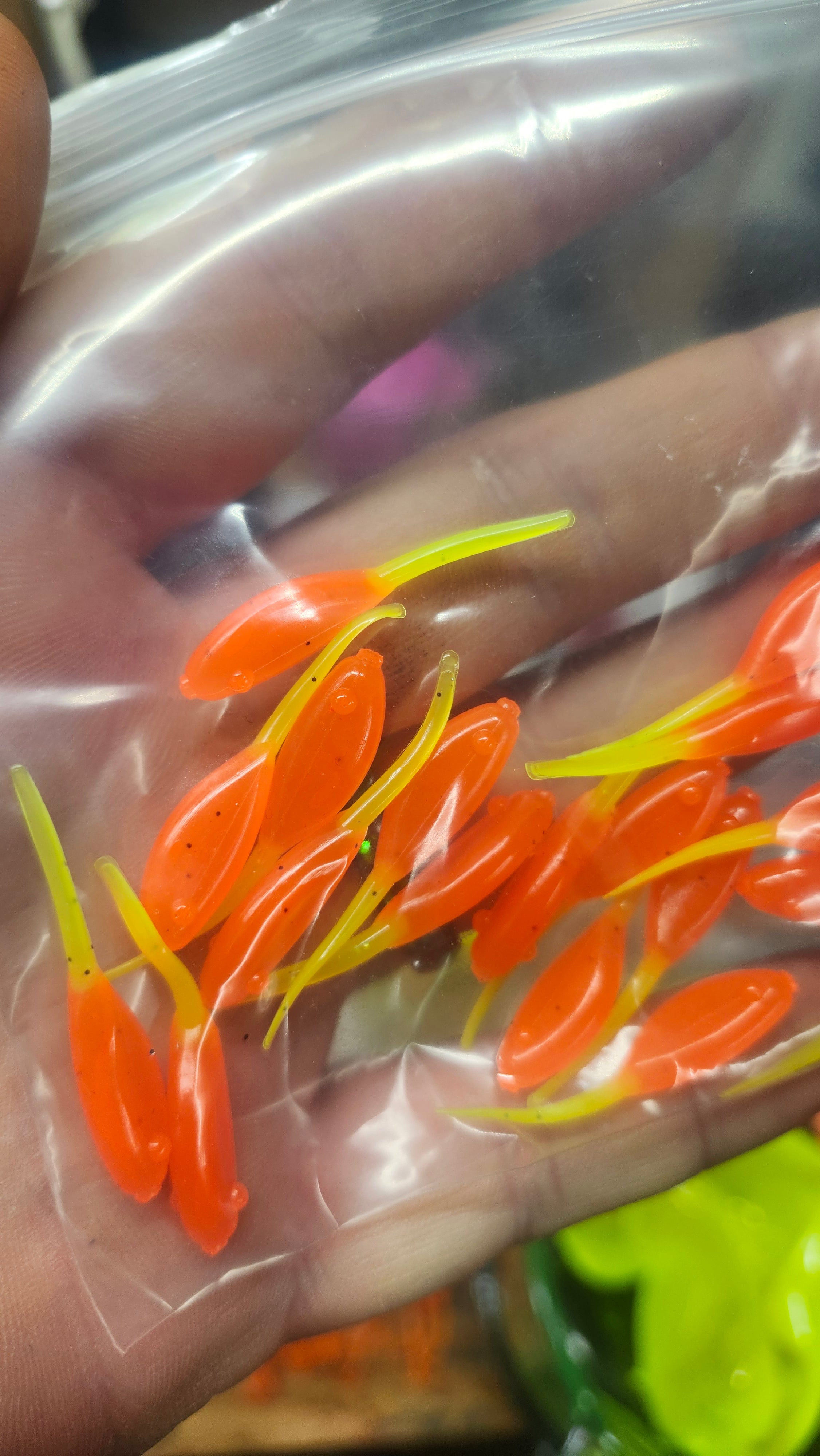 Orange /w Chart Tail Little Minnow