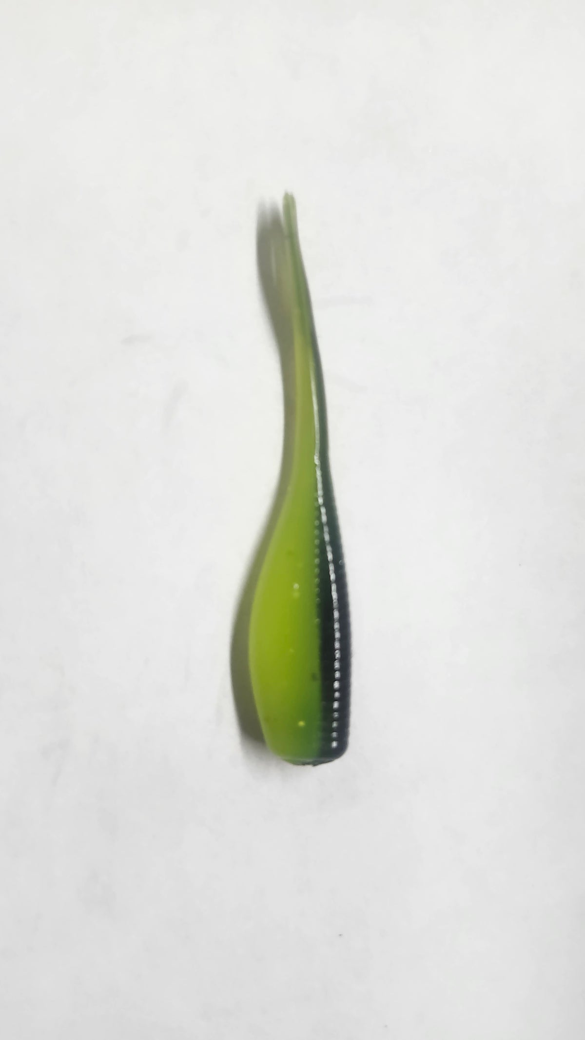 THE OG 2 INCH