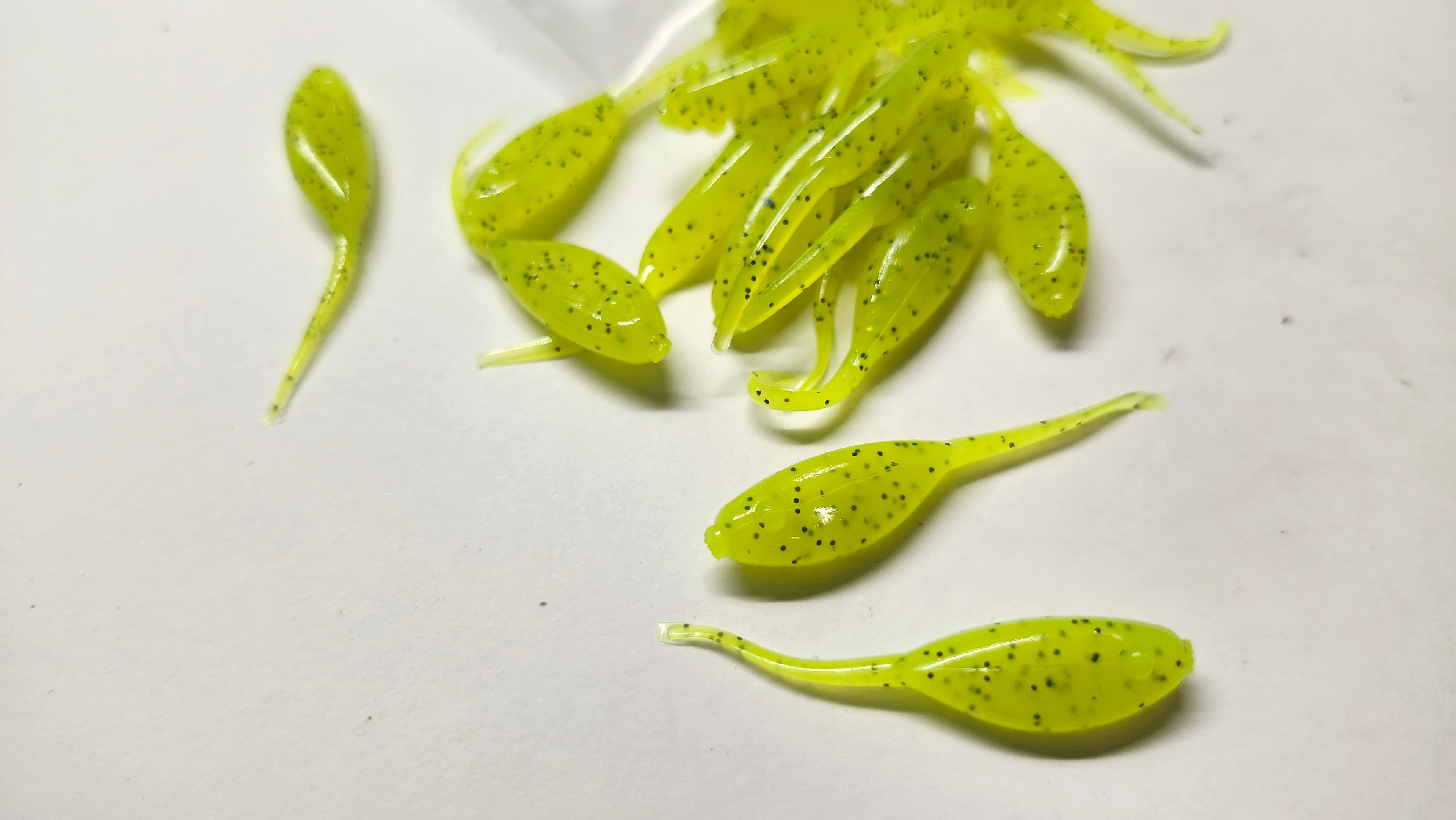 Little Minnow 1.5 Inch