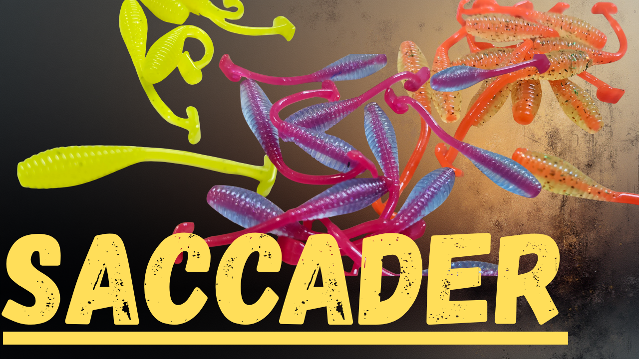 Saccader